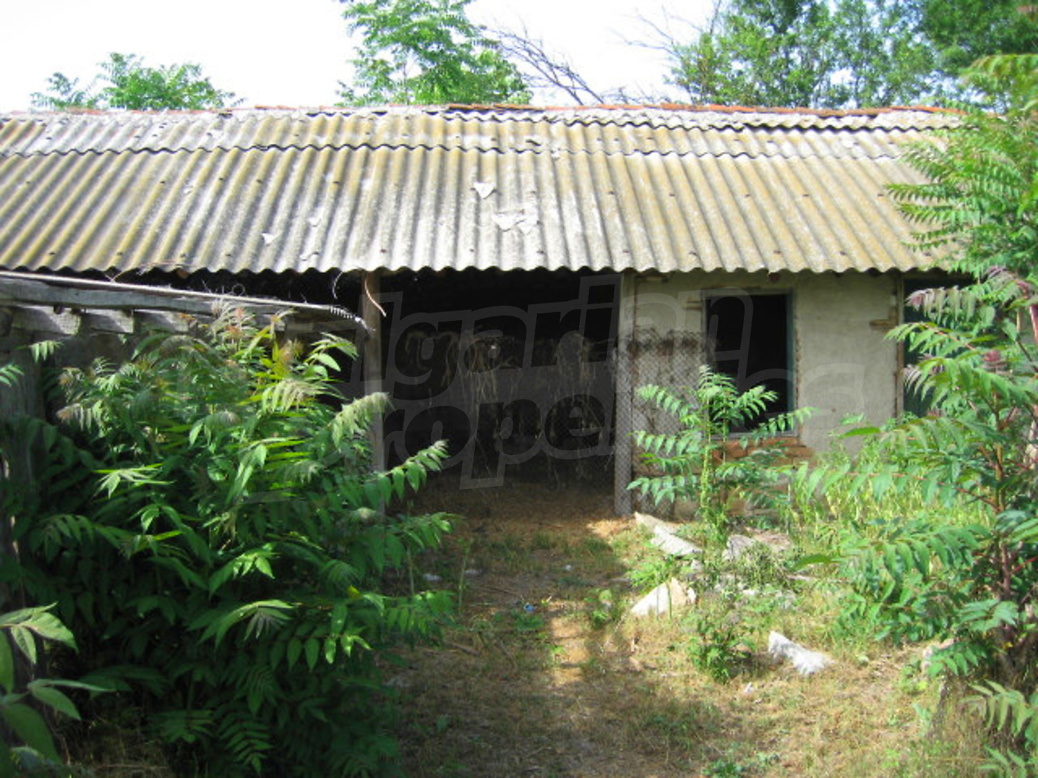 Gallery Picture 18