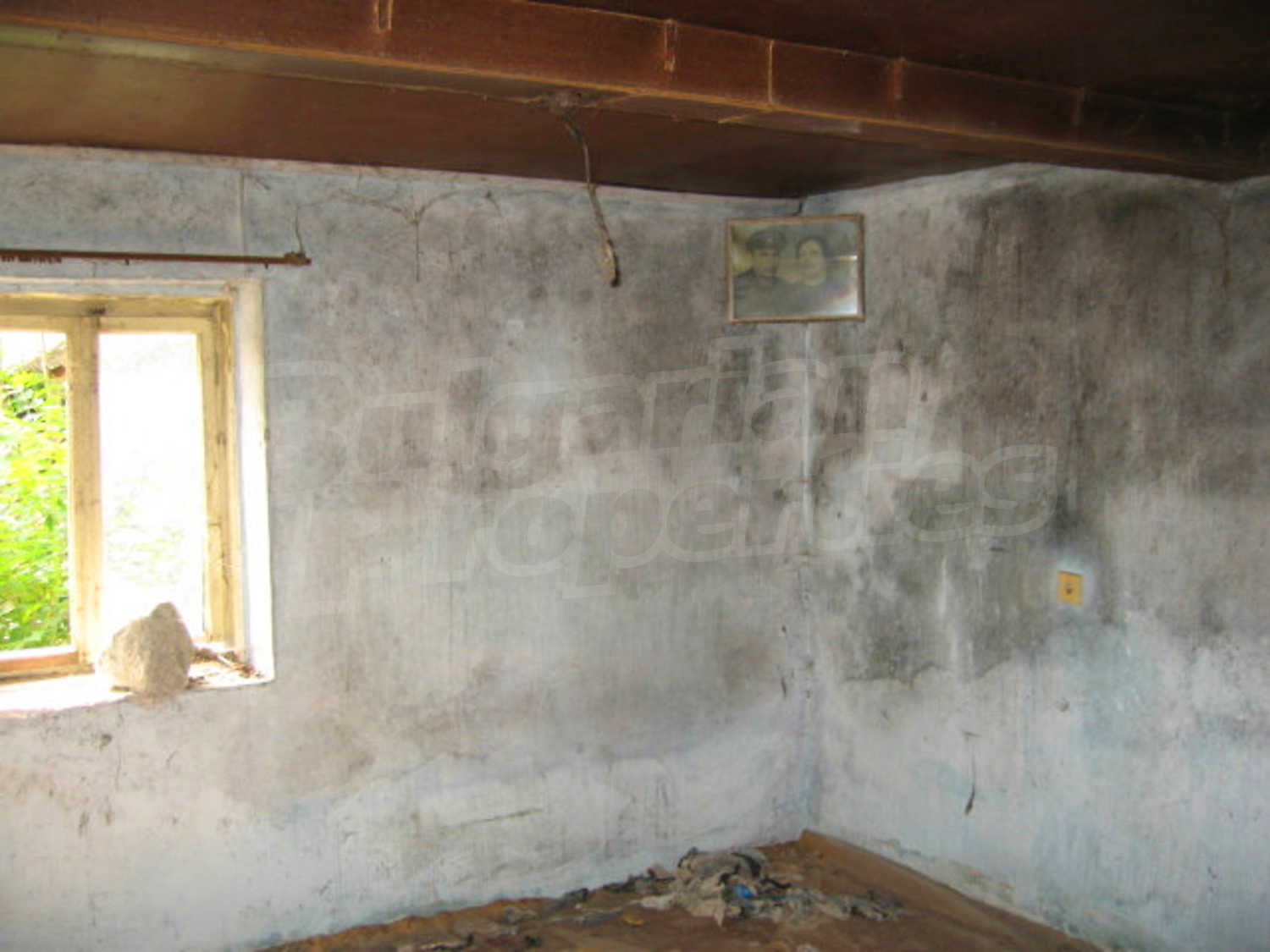 Gallery Picture 6