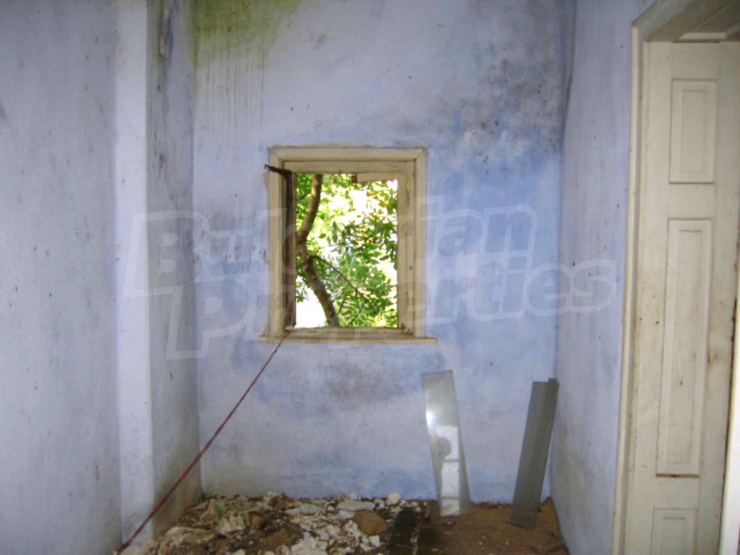 Gallery Picture 9