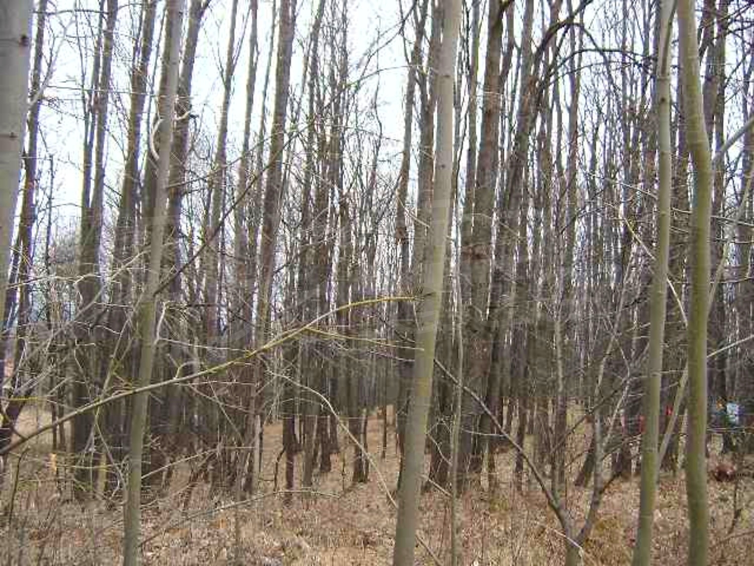 Gallery Picture 10