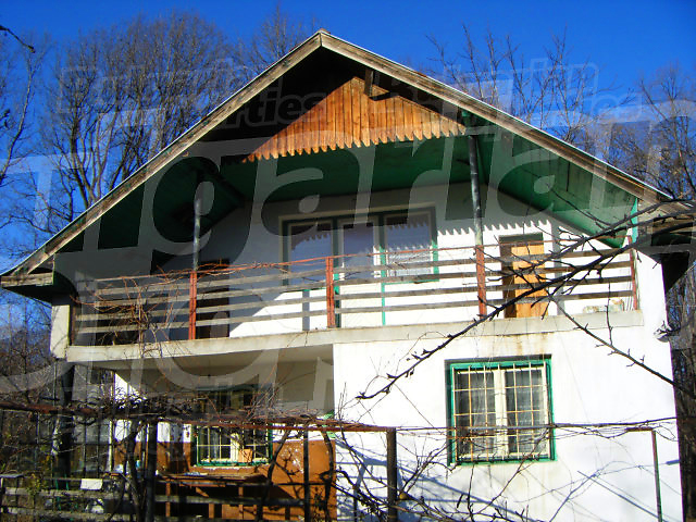 Gallery Picture 11