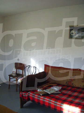 Gallery Picture 12