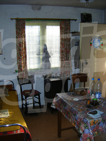 Gallery Picture 13