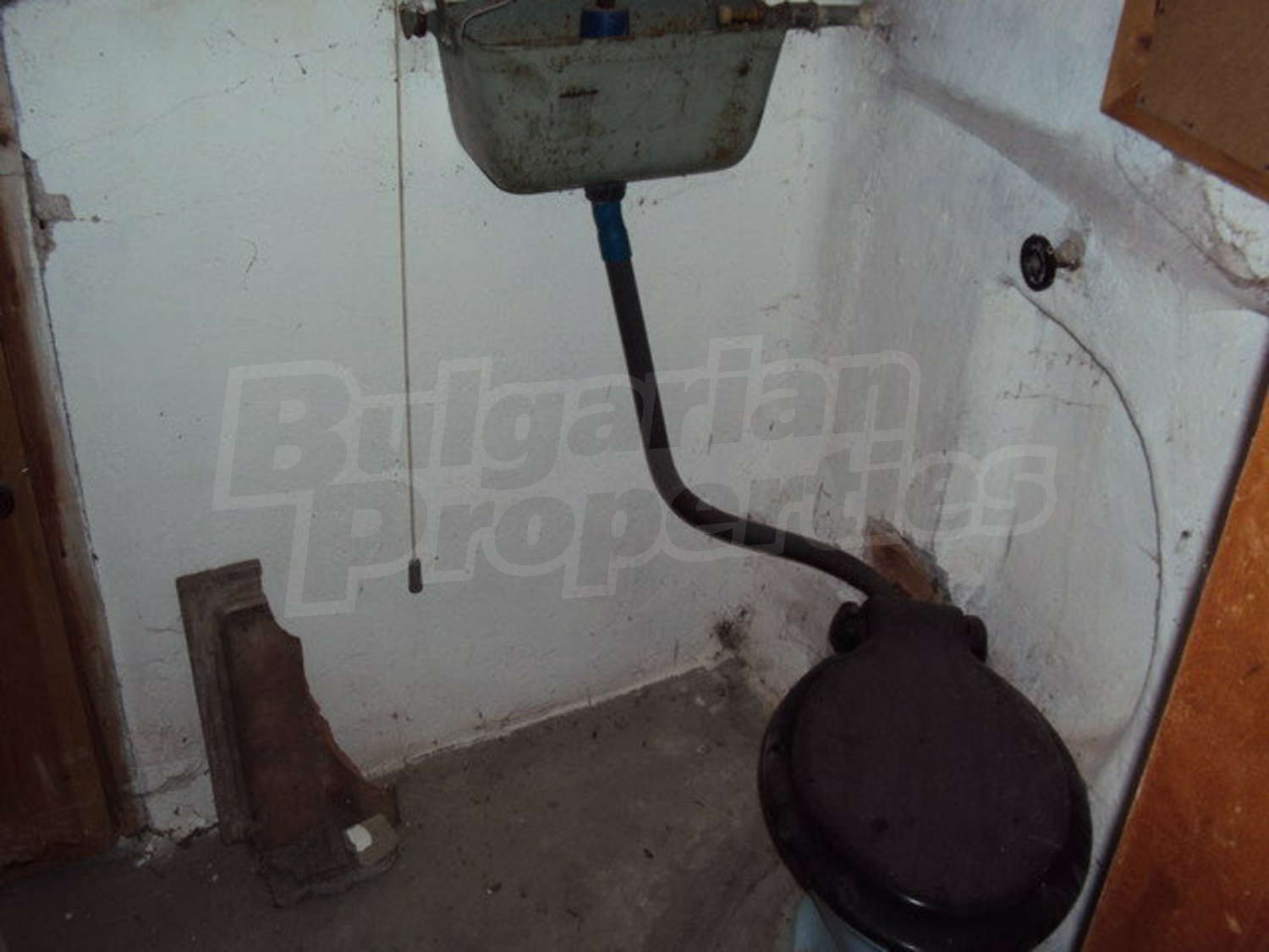 Gallery Picture 19