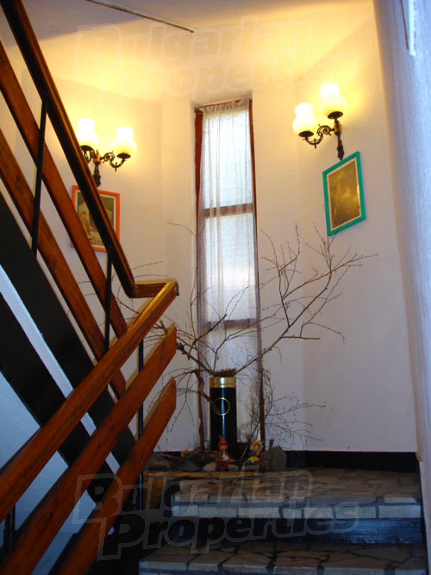 Gallery Picture 10