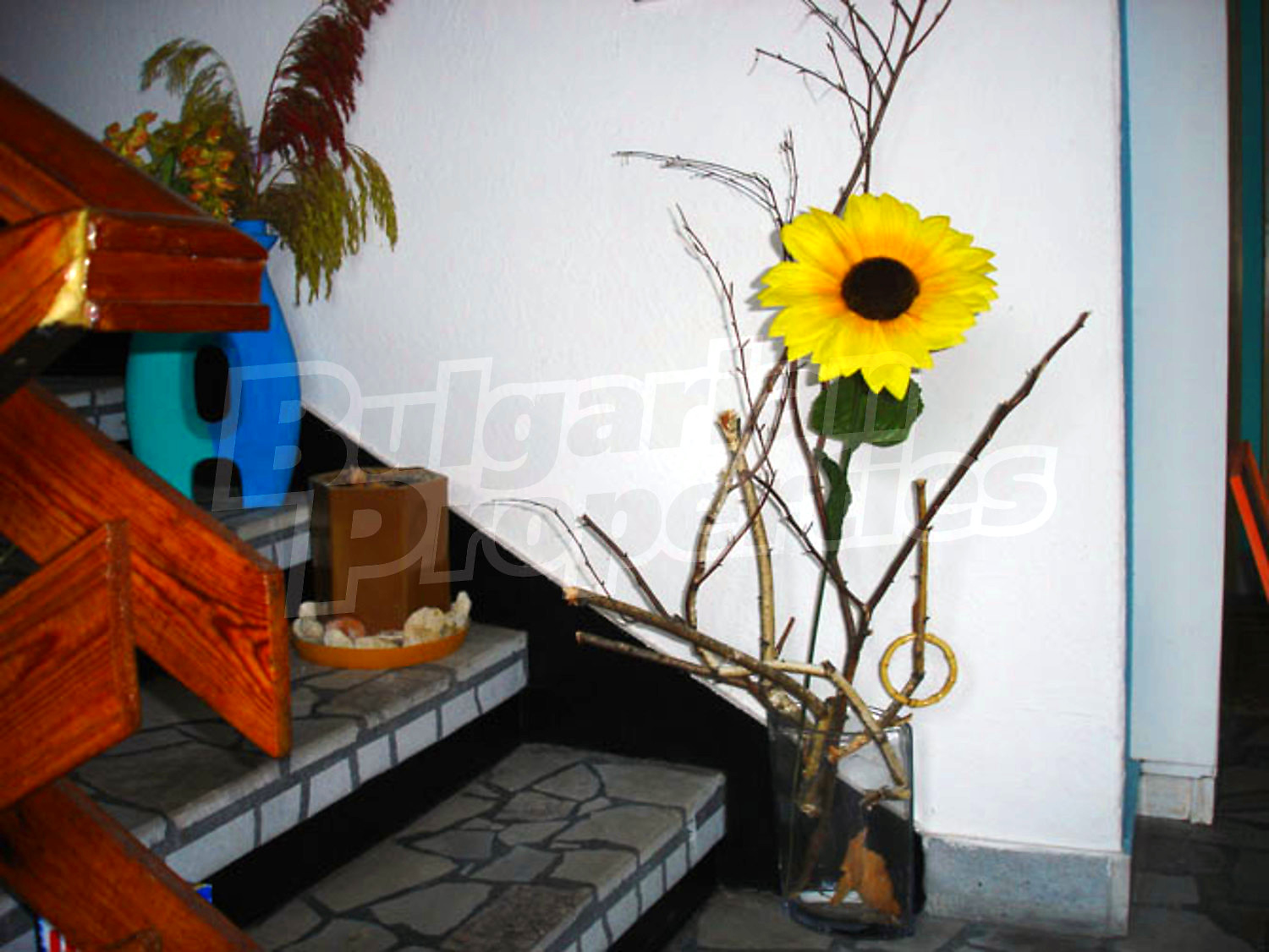 Gallery Picture 12