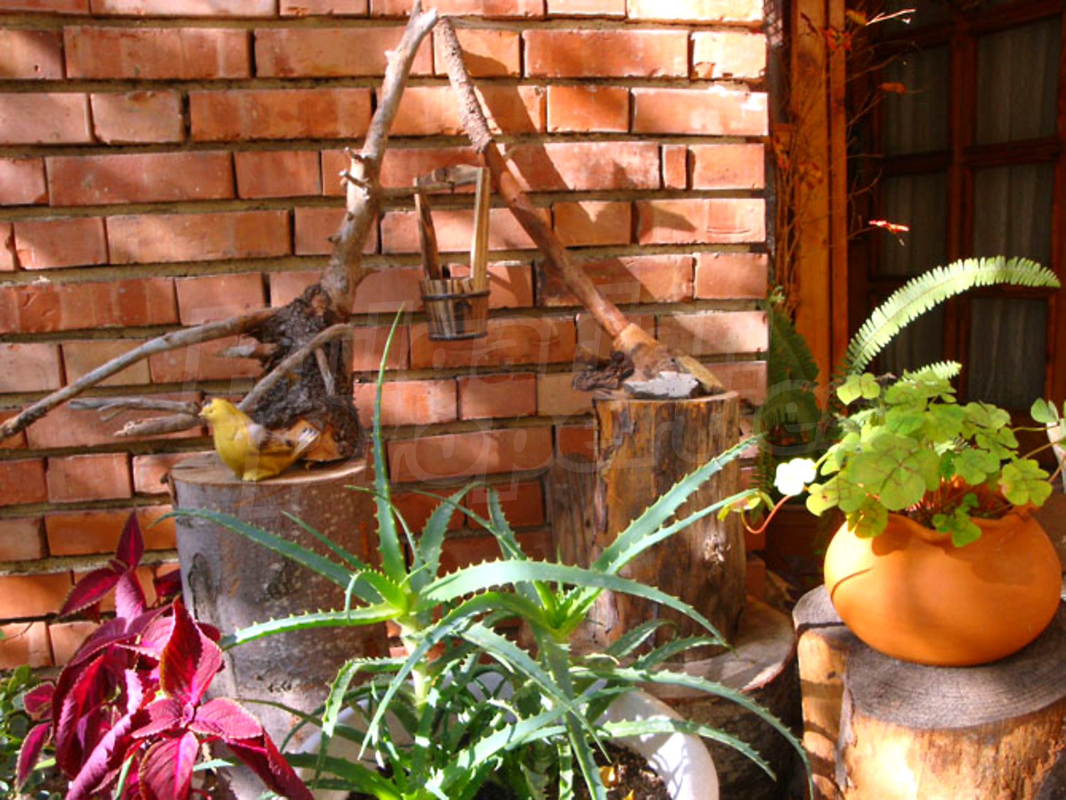 Gallery Picture 13
