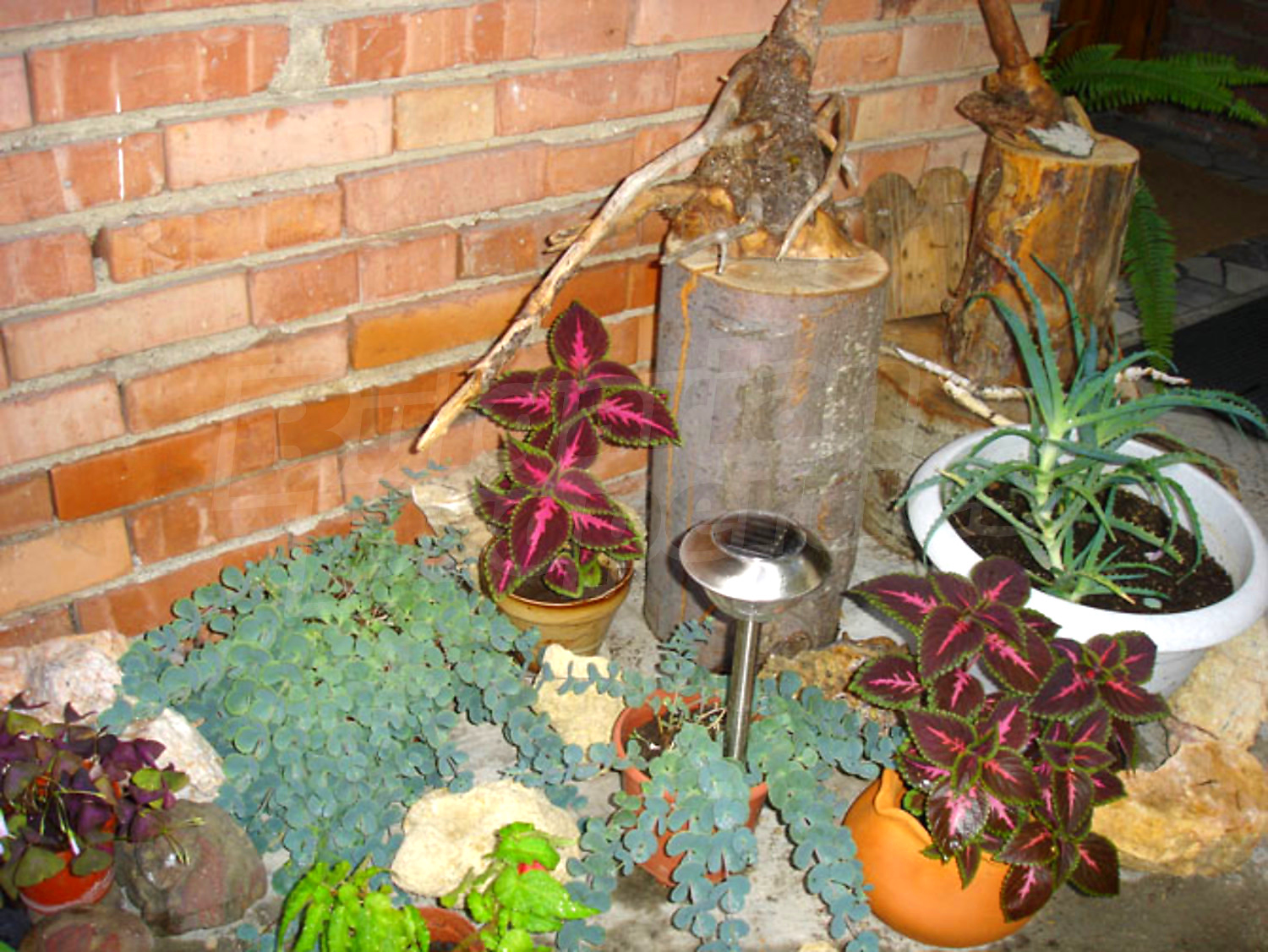 Gallery Picture 14