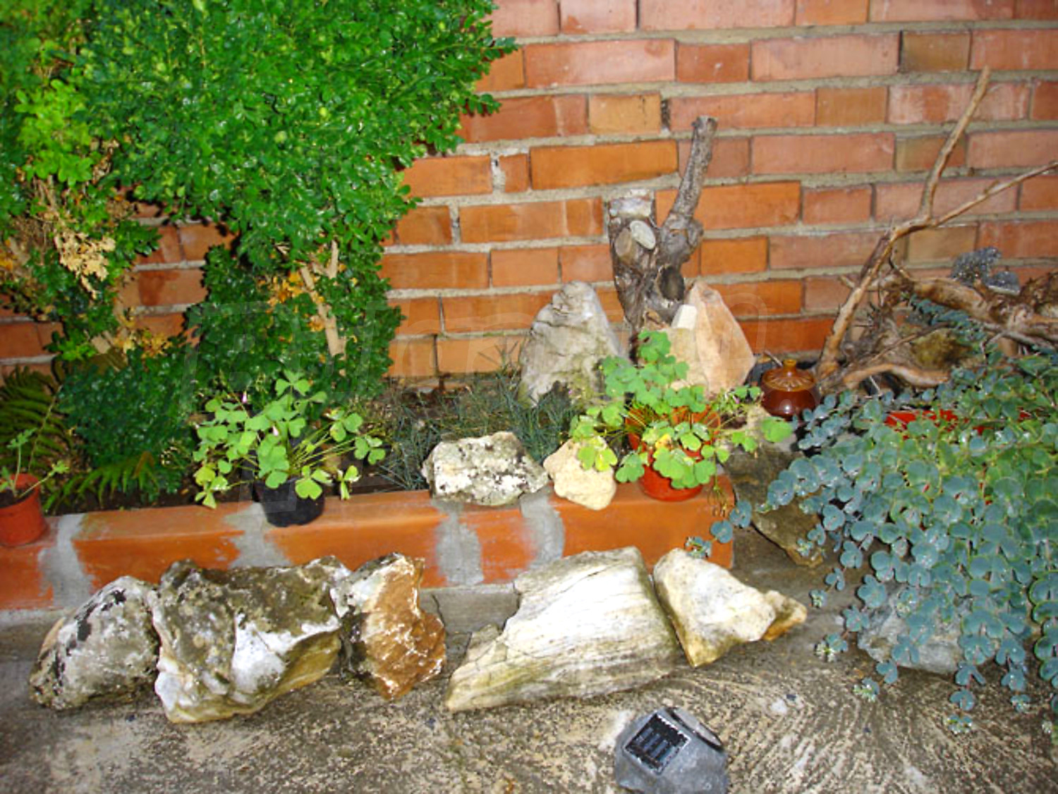 Gallery Picture 16