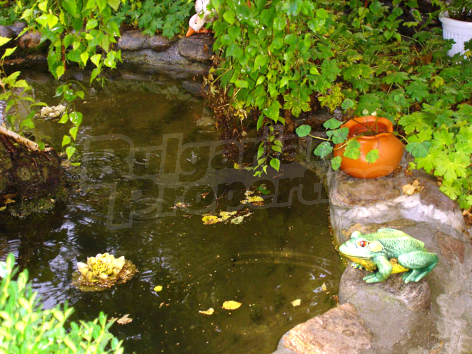 Gallery Picture 24