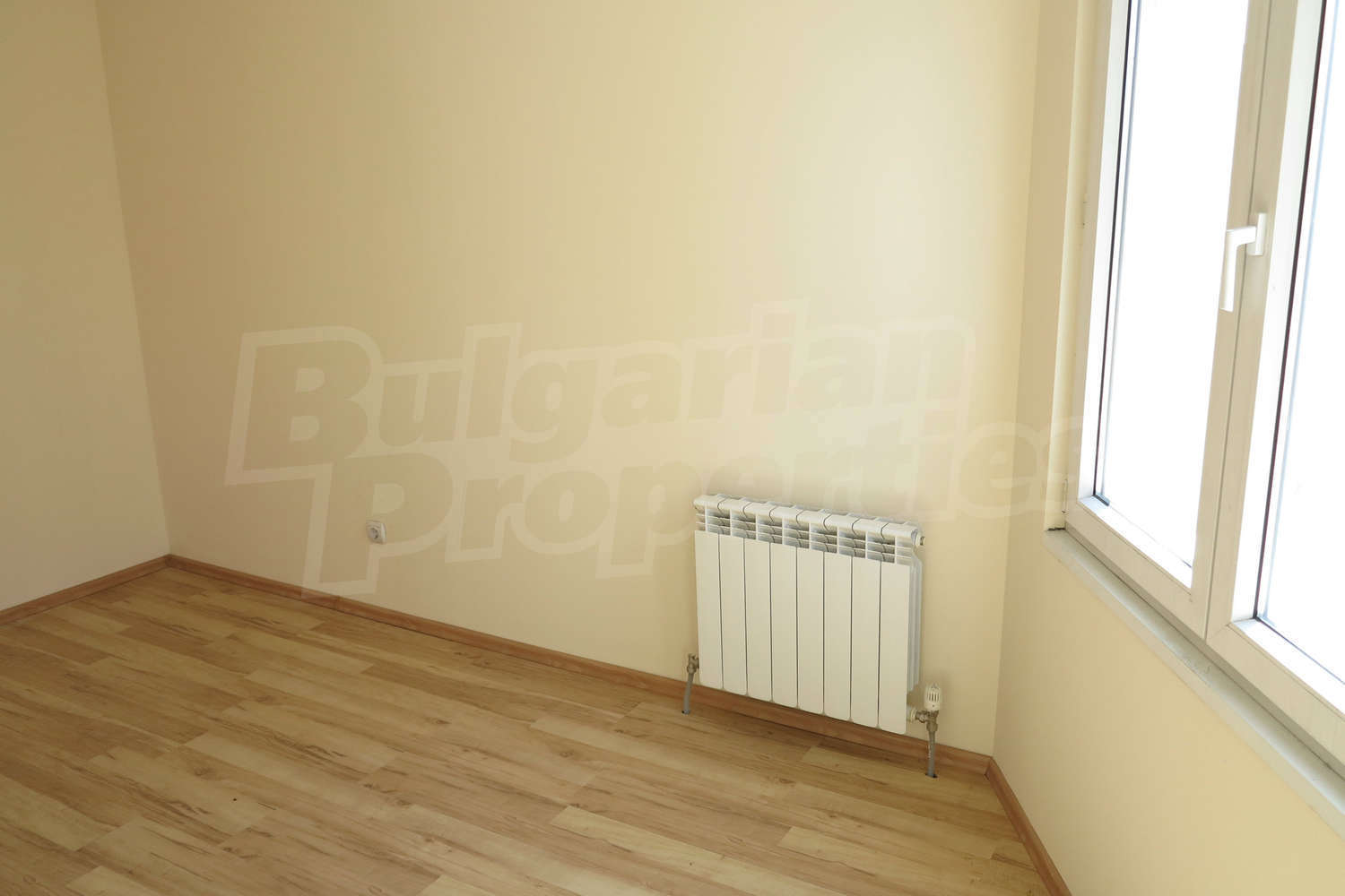 Gallery Picture 17