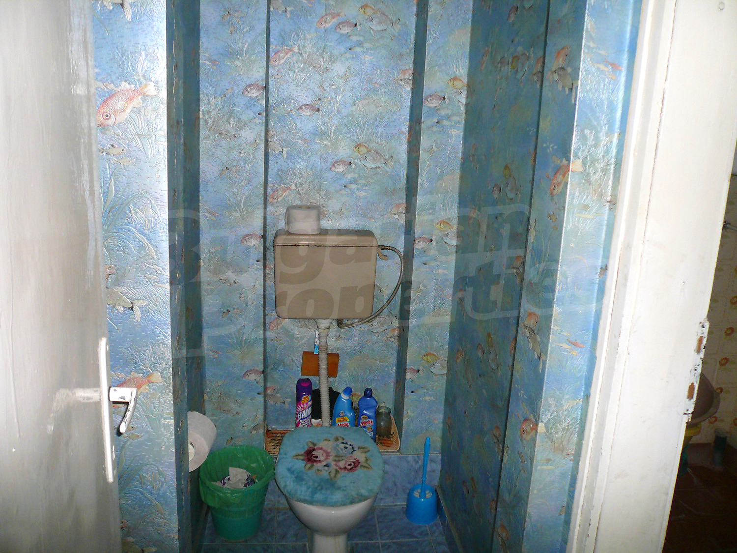 Gallery Picture 11