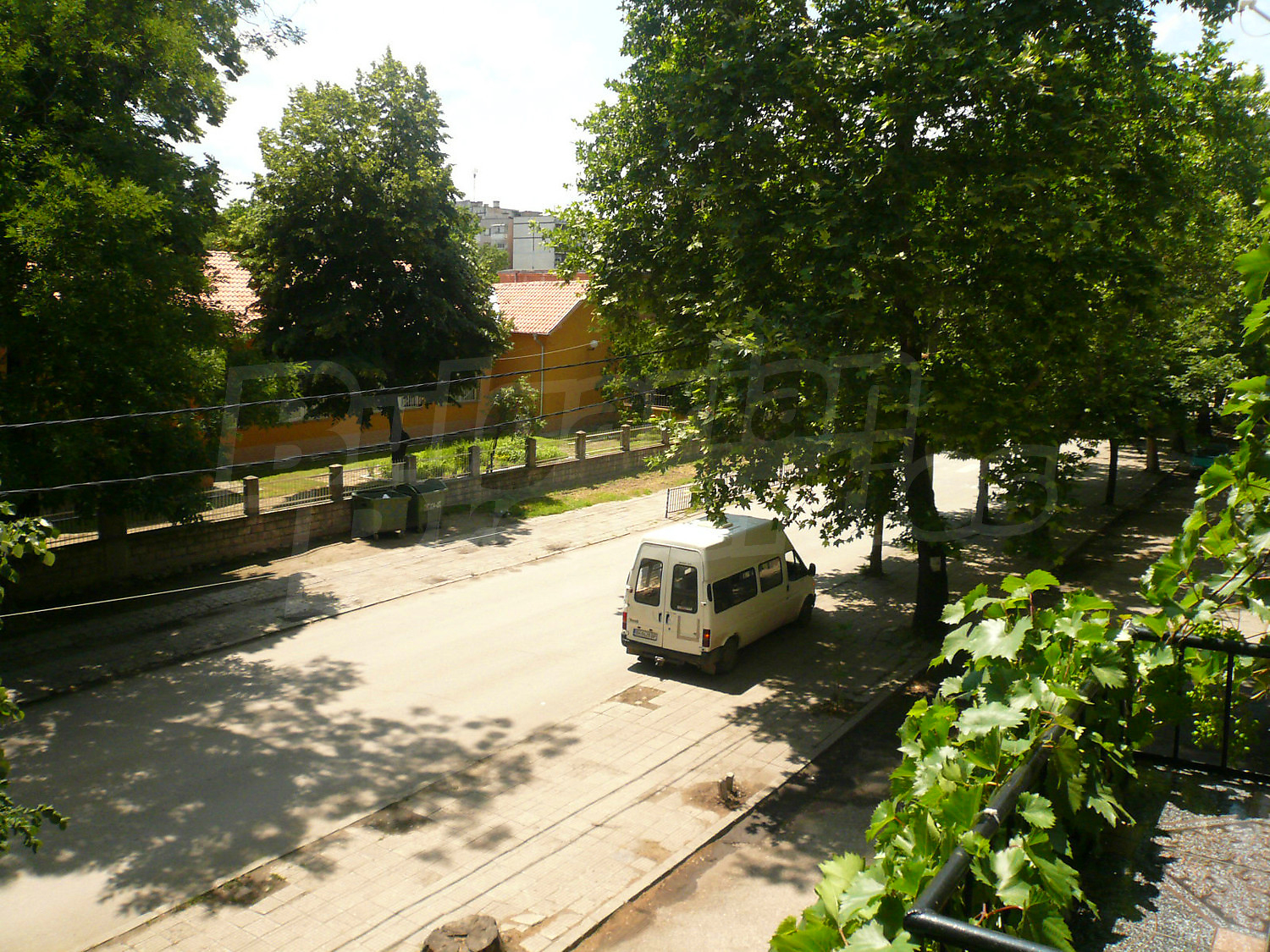 Gallery Picture 13