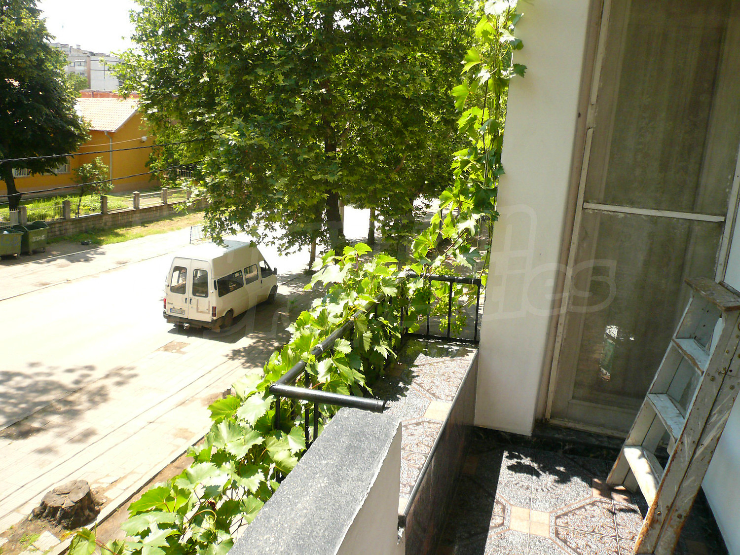 Gallery Picture 14