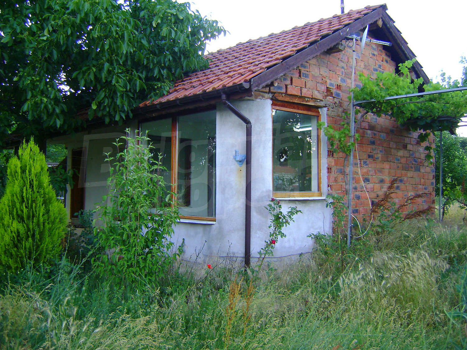 Gallery Picture 14