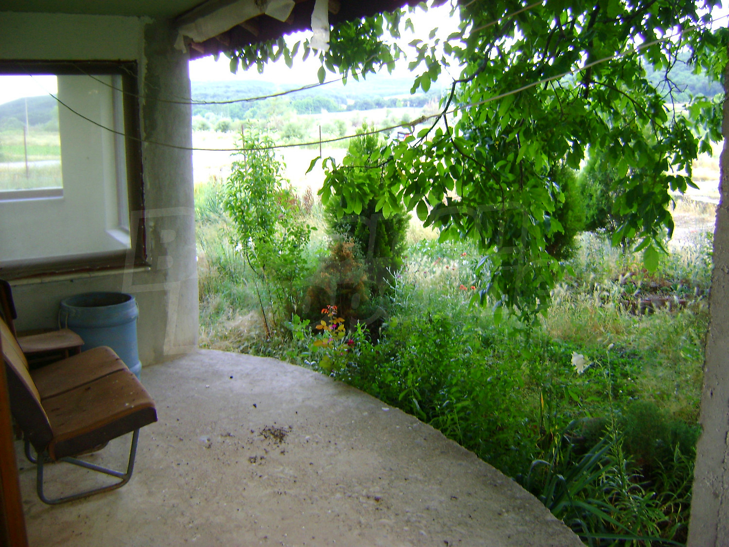 Gallery Picture 15