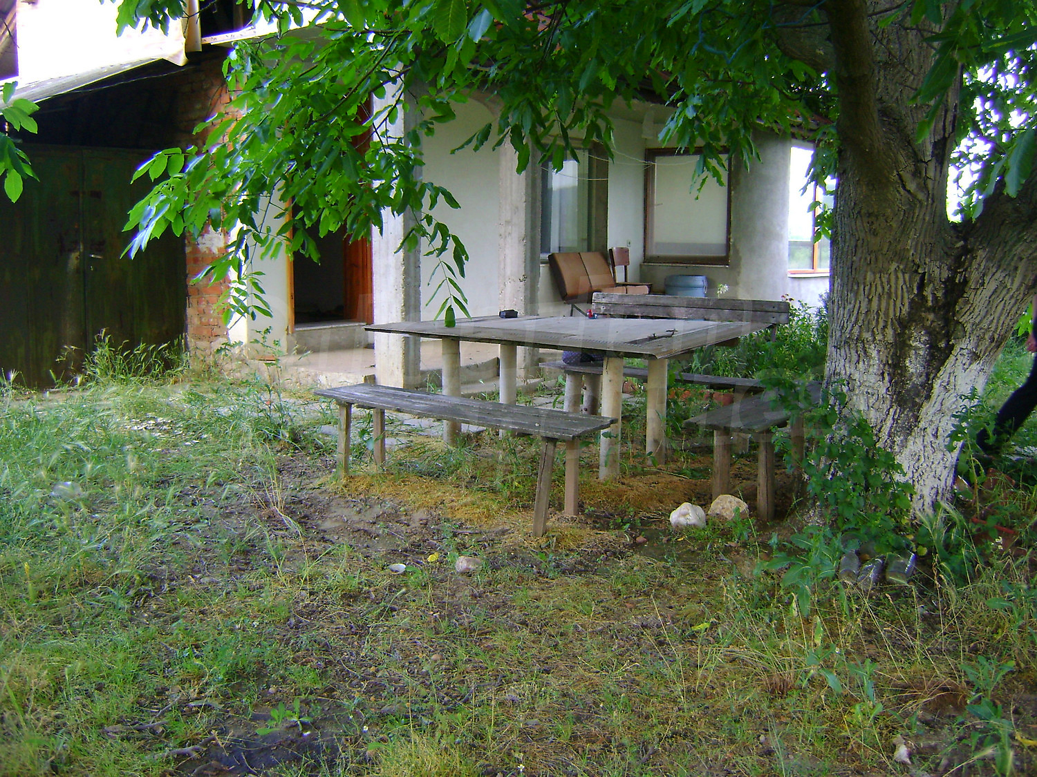 Gallery Picture 17