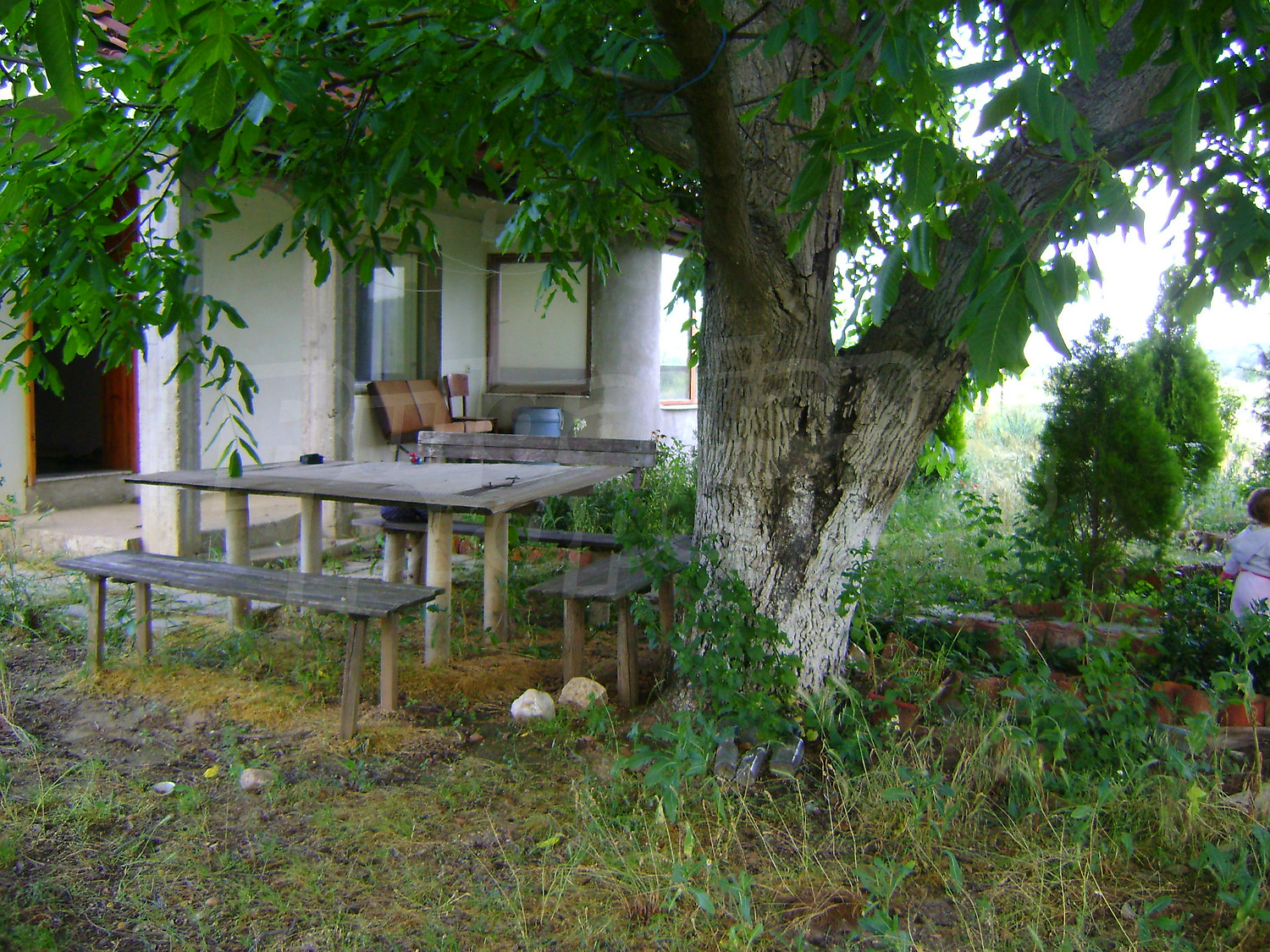 Gallery Picture 18