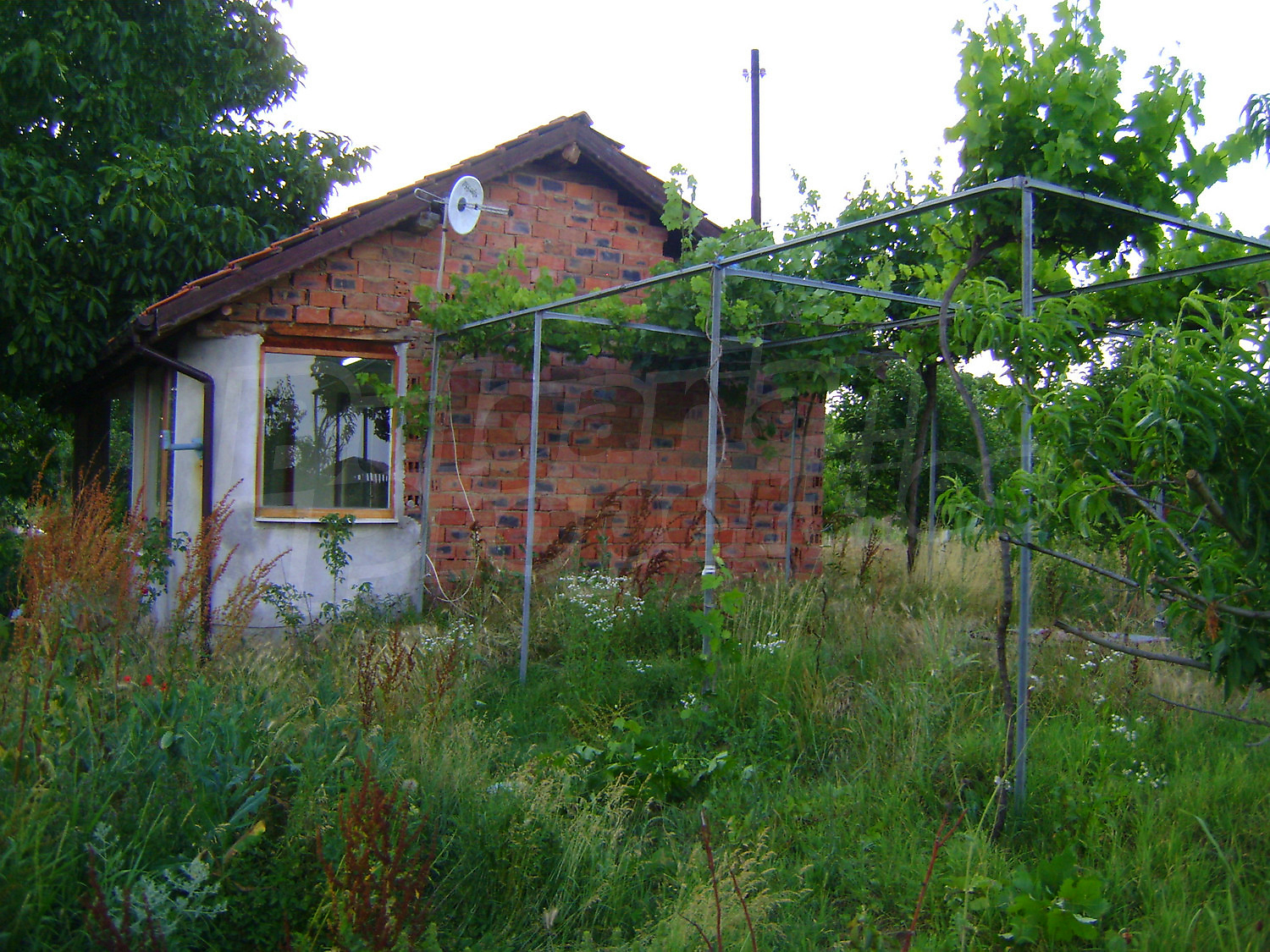 Gallery Picture 19