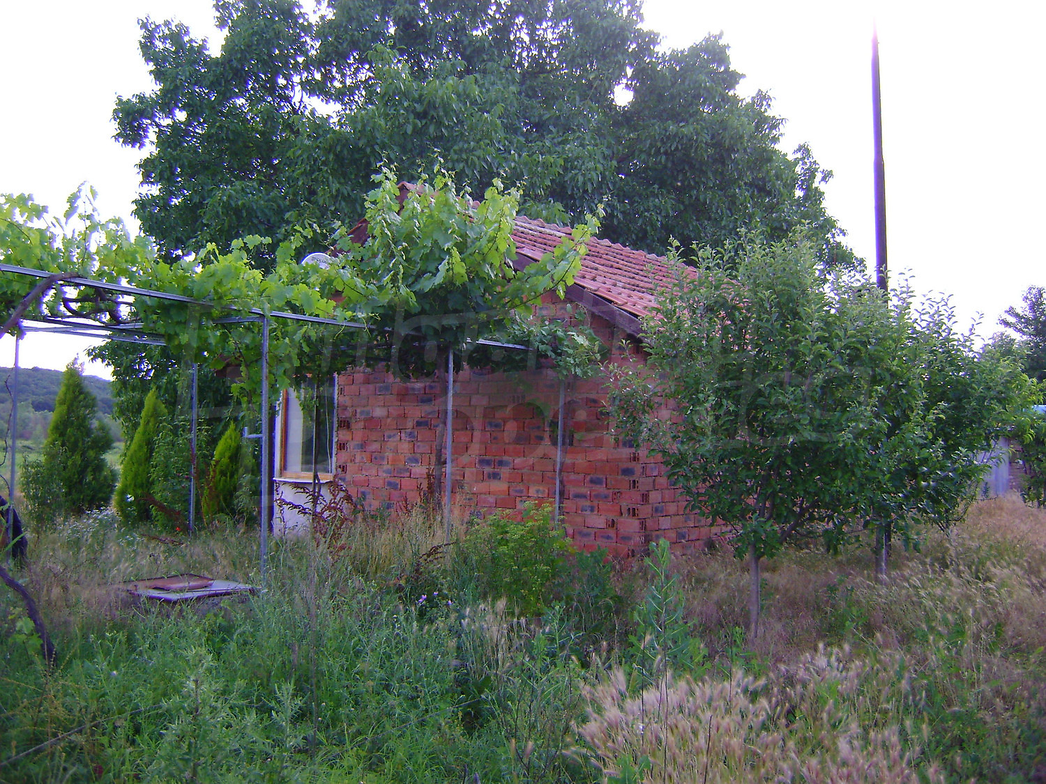 Gallery Picture 24