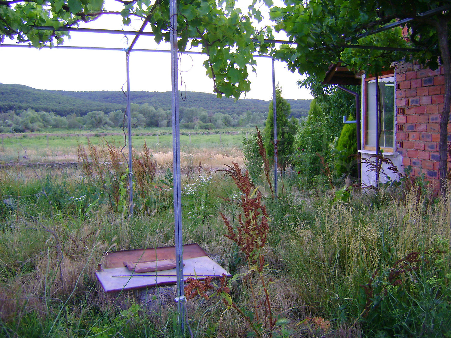 Gallery Picture 26