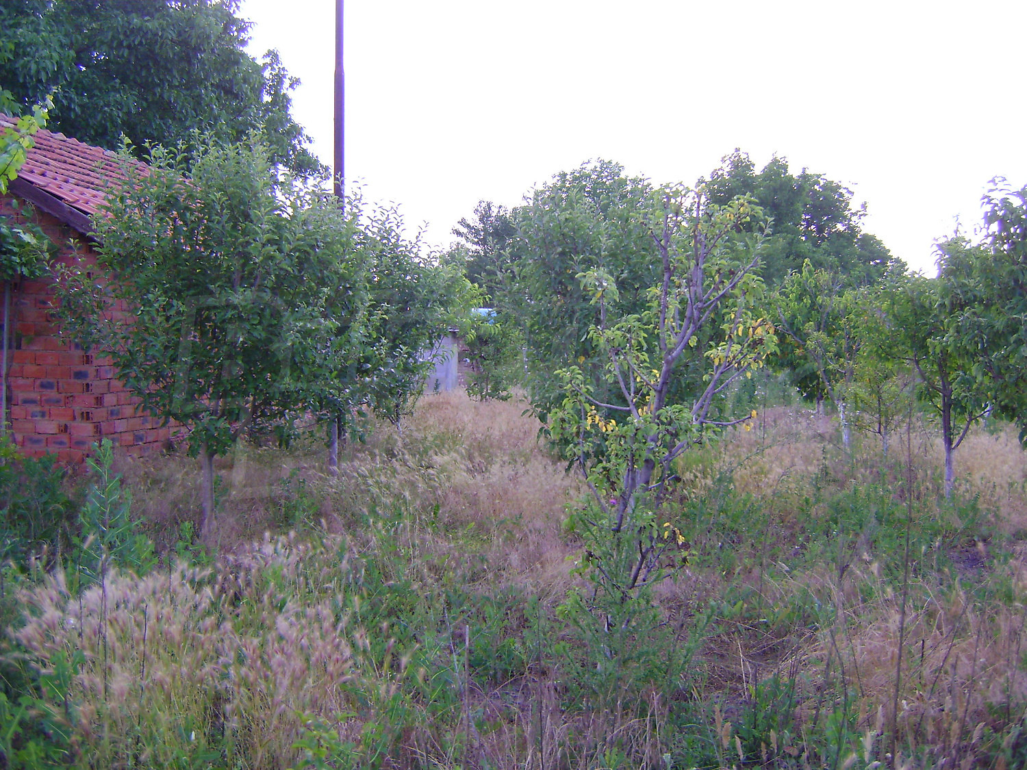 Gallery Picture 27