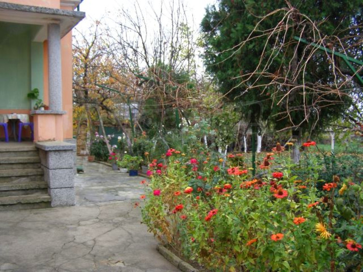 Gallery Picture 19
