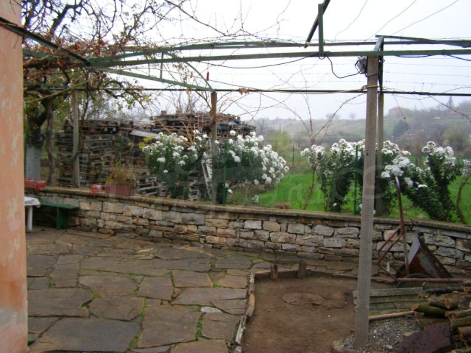 Gallery Picture 20