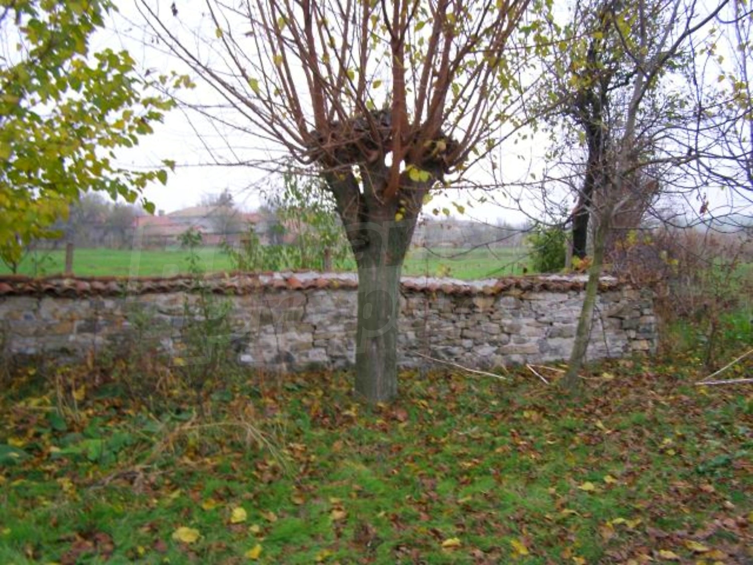 Gallery Picture 21