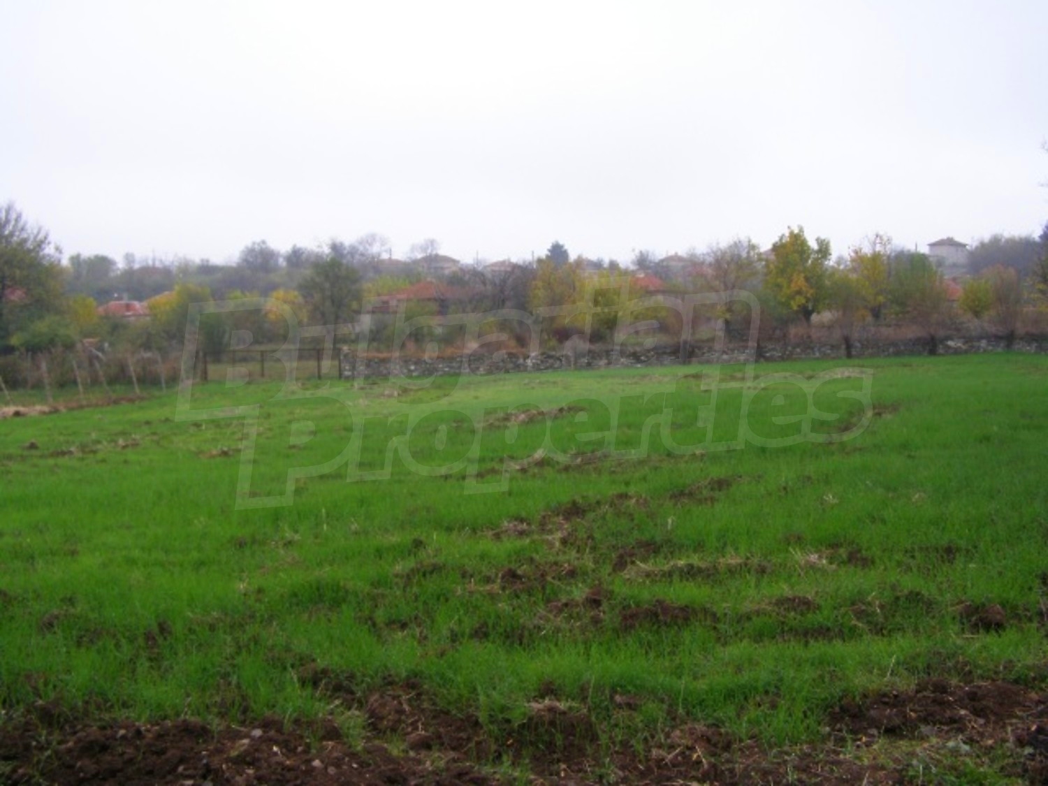 Gallery Picture 26
