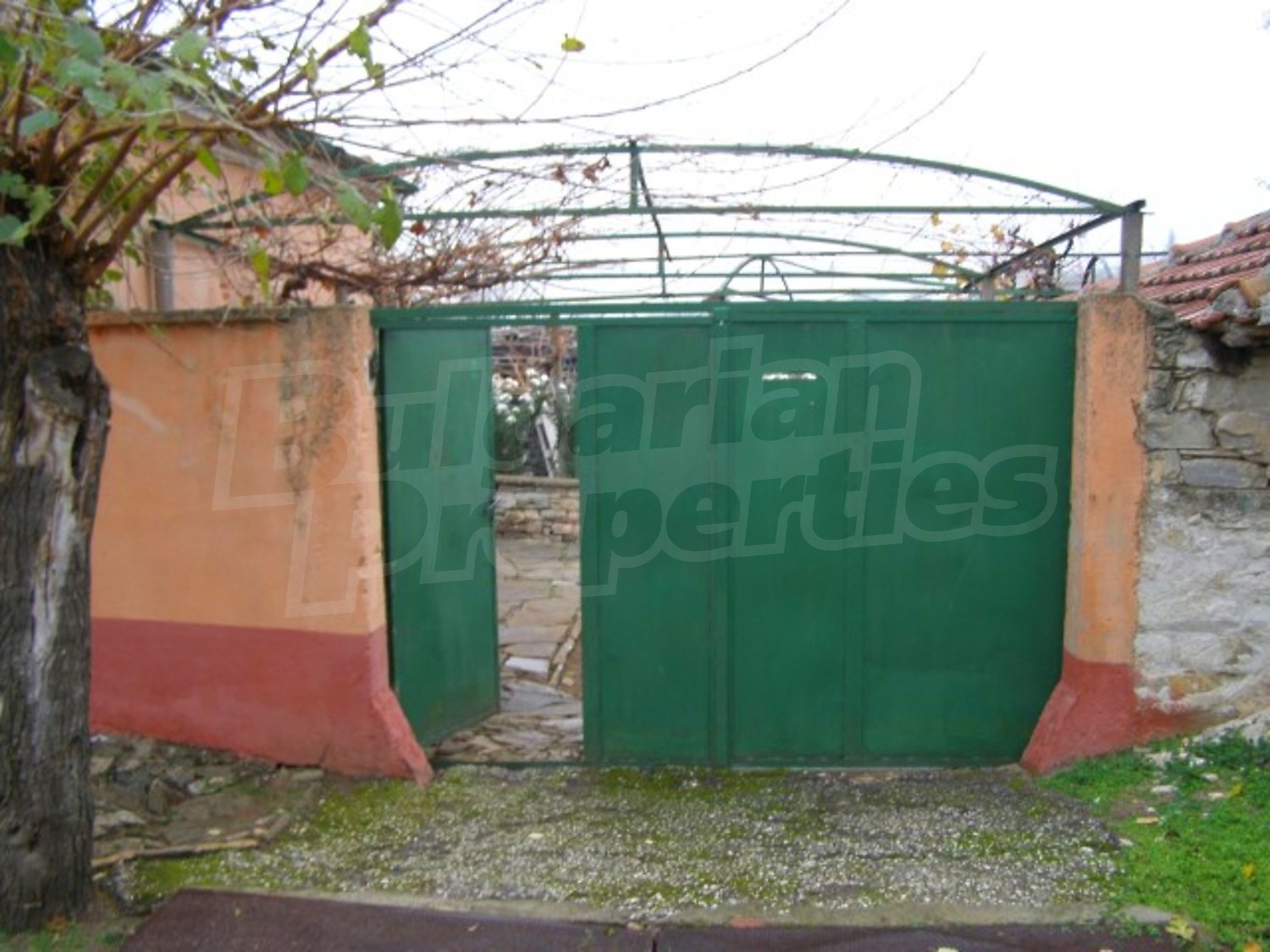 Gallery Picture 30