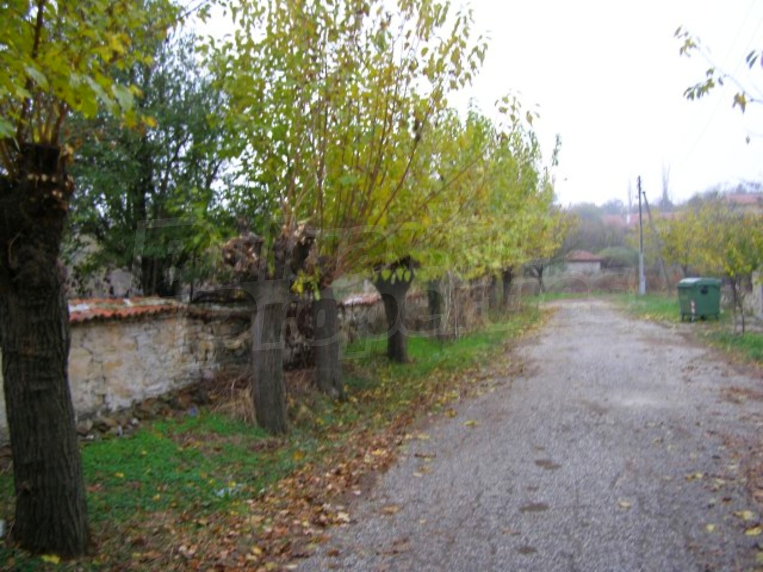 Gallery Picture 31