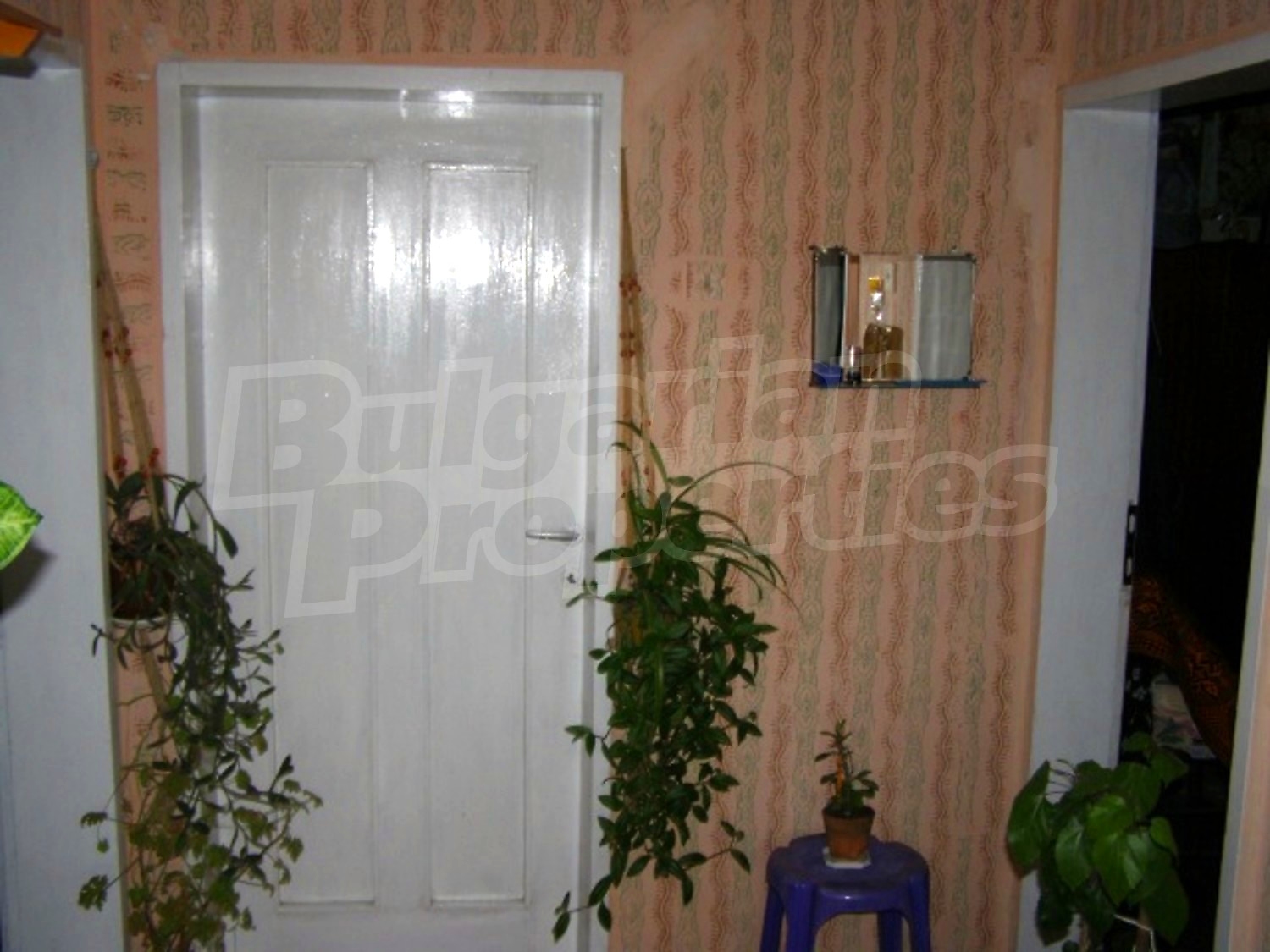 Gallery Picture 6