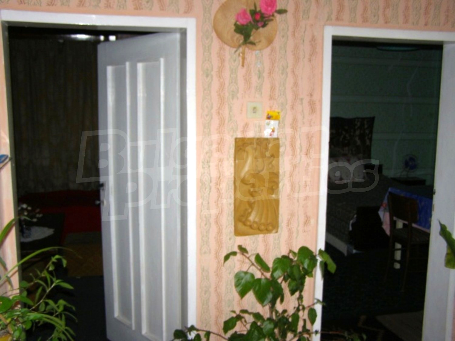 Gallery Picture 7