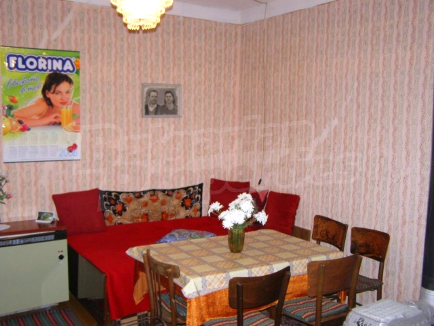Gallery Picture 8