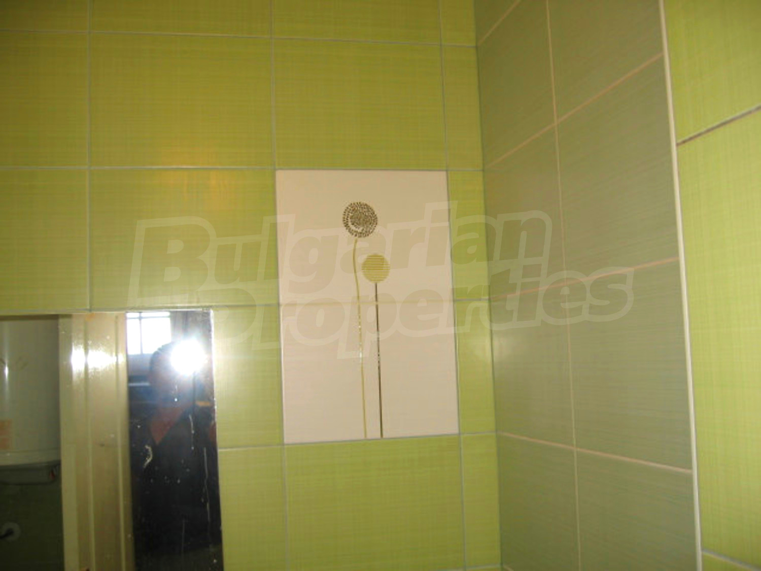 Gallery Picture 19