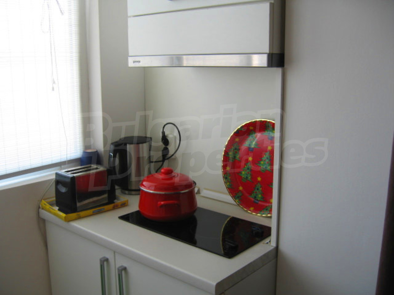 Gallery Picture 3