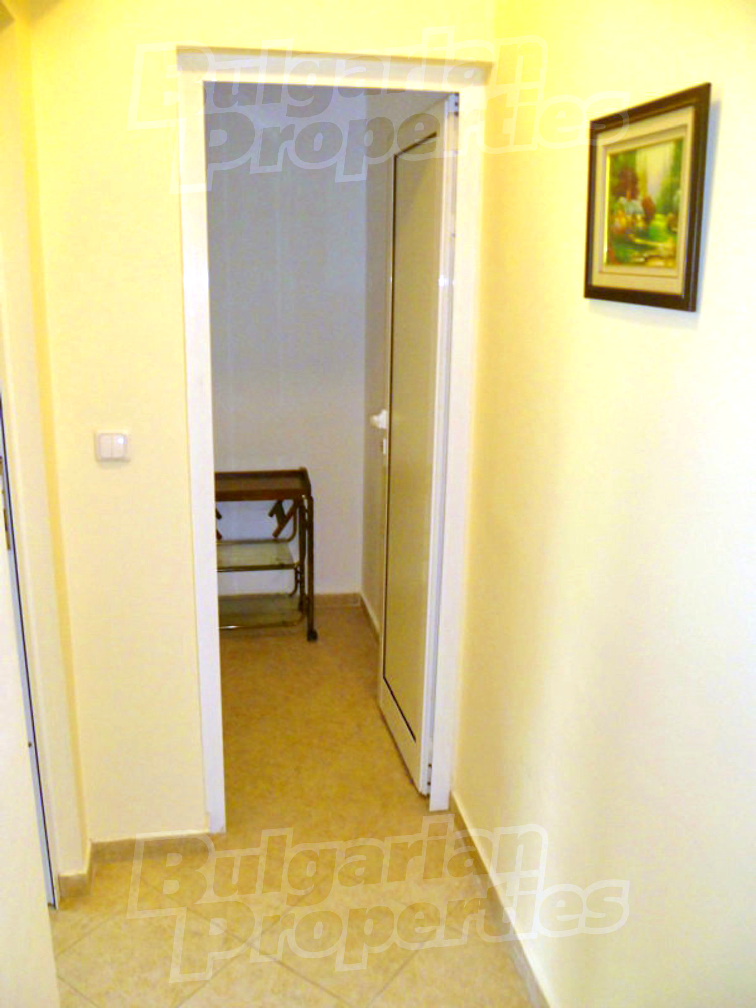 Gallery Picture 19