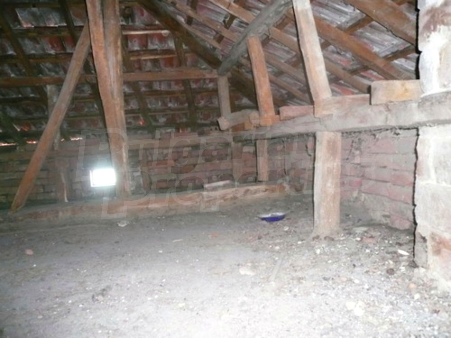 Gallery Picture 13