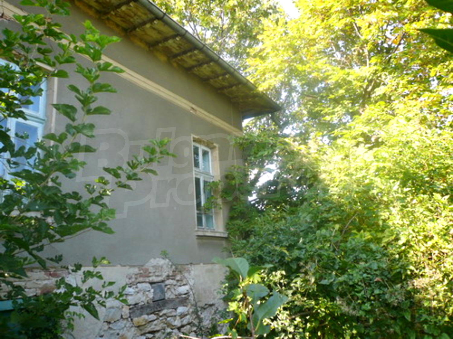 Gallery Picture 4