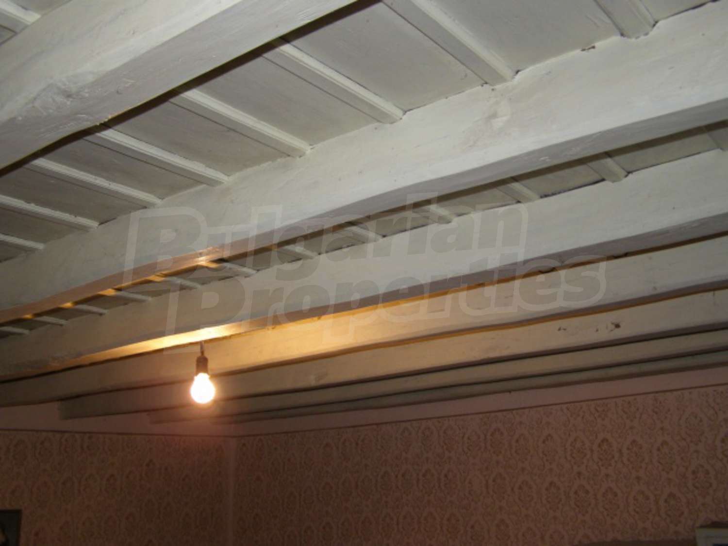 Gallery Picture 15