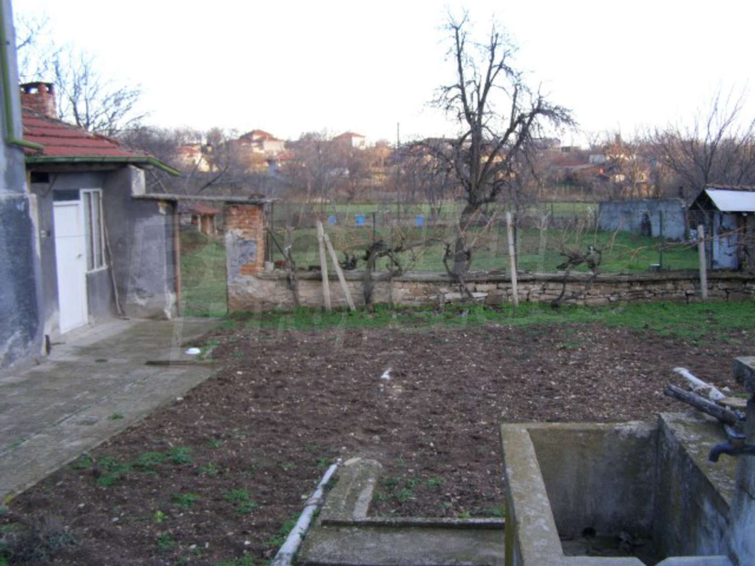 Gallery Picture 19
