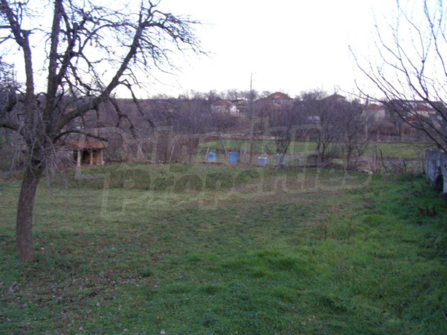 Gallery Picture 25