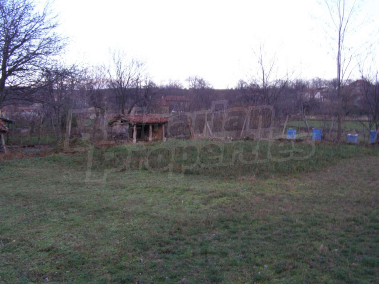 Gallery Picture 27