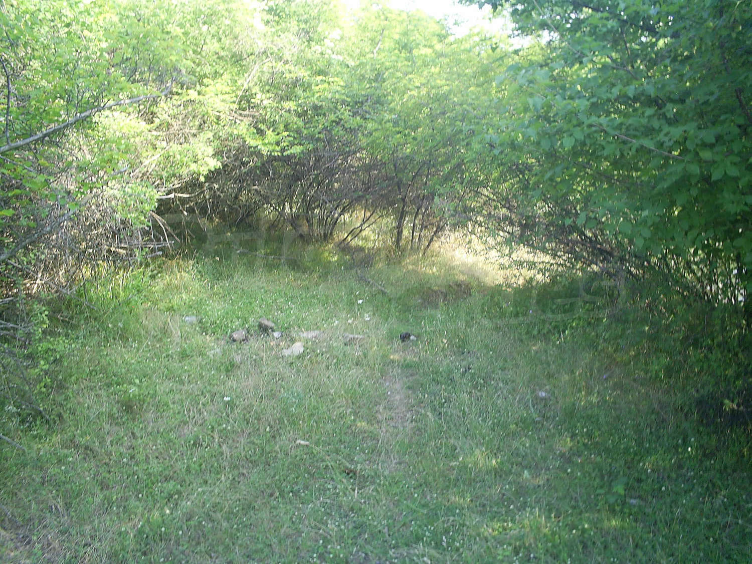 Gallery Picture 4