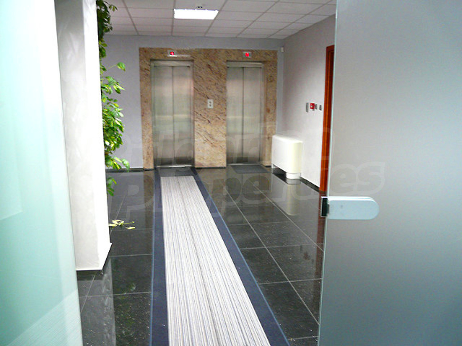 Gallery Picture 29