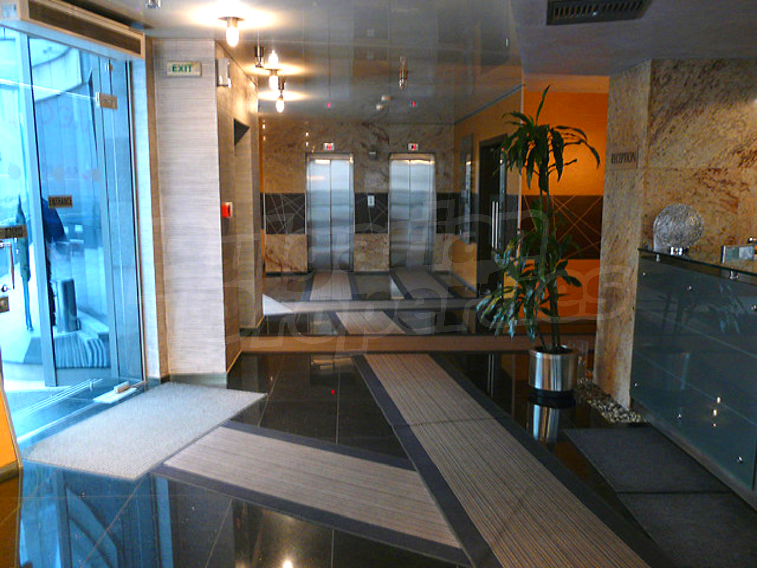 Gallery Picture 3