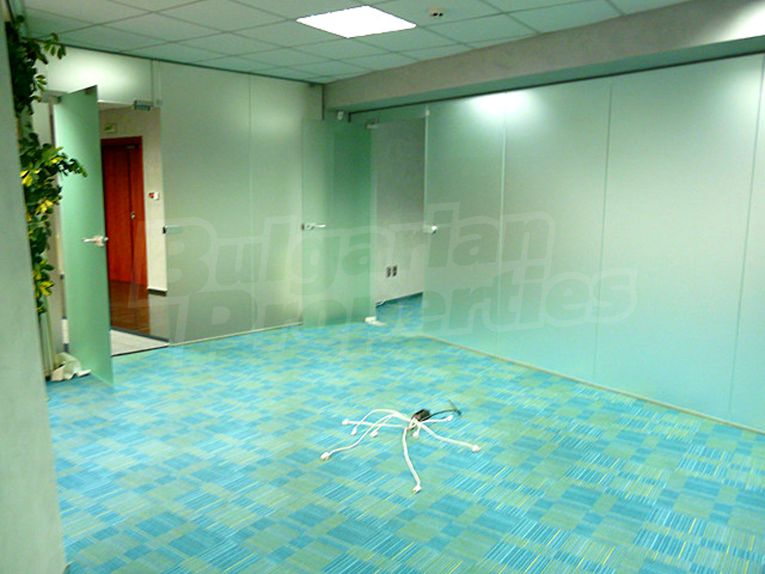 Gallery Picture 30