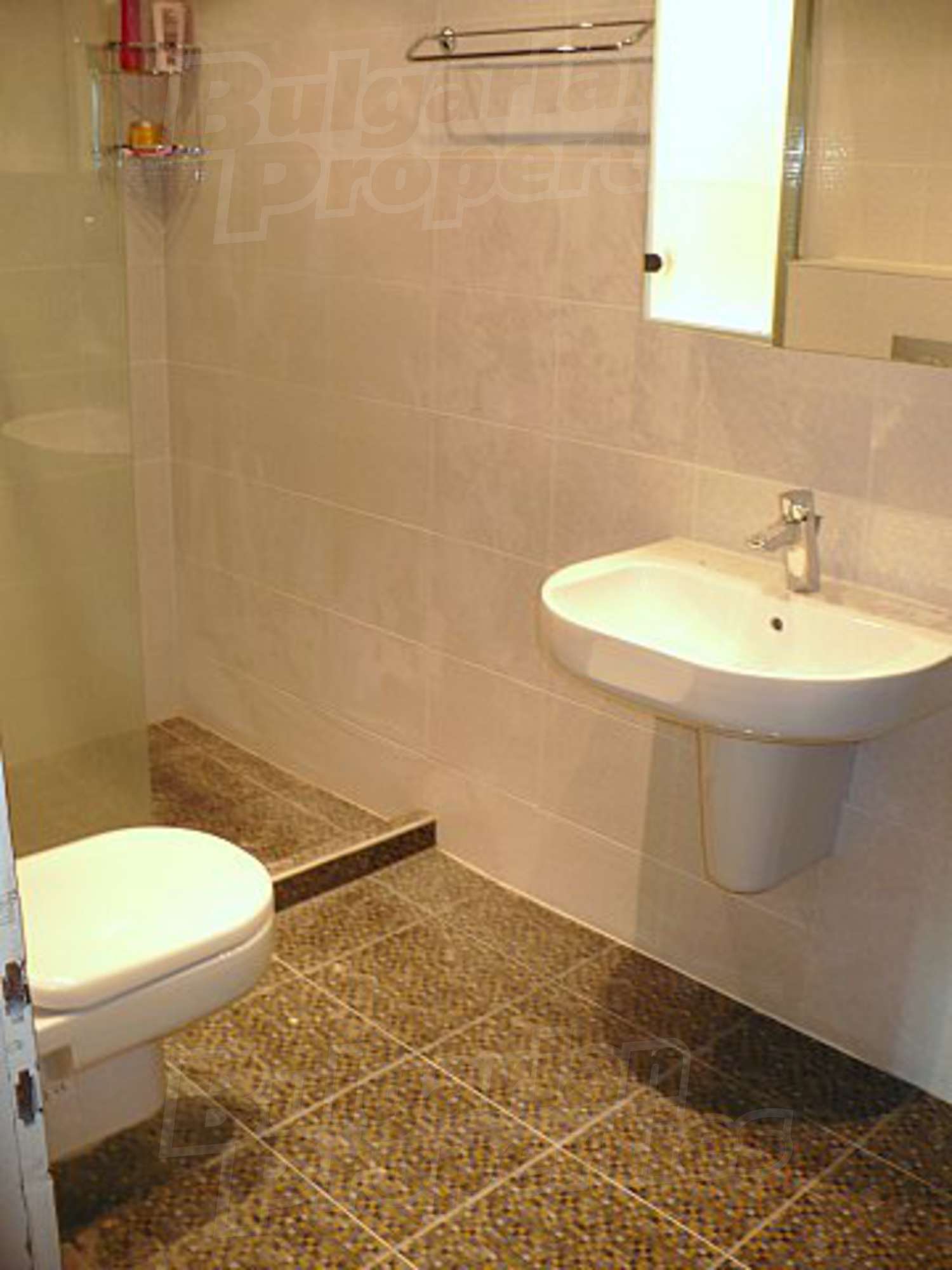 Gallery Picture 26