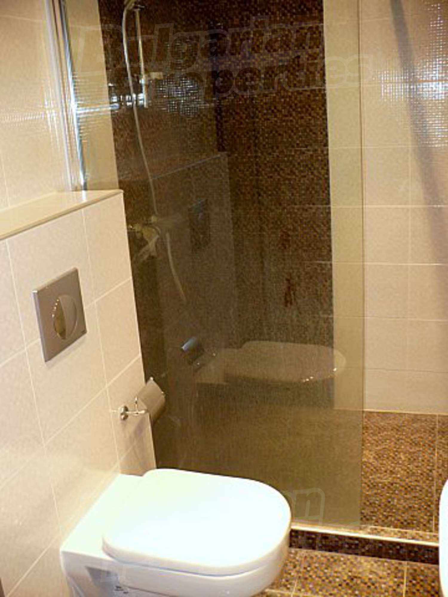 Gallery Picture 27